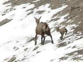 2004_0602Image0101cropped