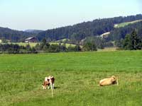 Fuschl am See, Austria Fuschl am See, Austria