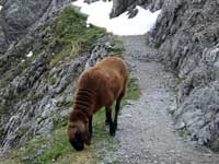 Goetheweg, Nordpark, Innsbruck