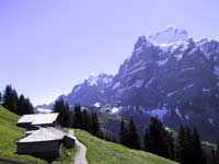 Grindelwald, Switzerland Grindelwald, Switzerland