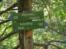 Signpost