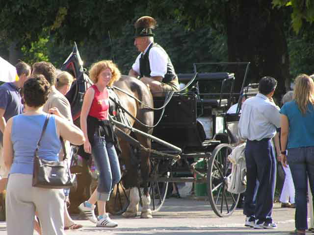 St. Gilgen Horse Drawn Carriage