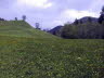 9 Filzmoos walk 5