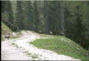 3 Filzmoos walk 9