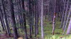 8 Filzmoos walk 11