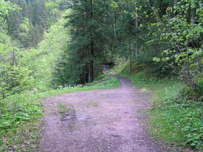 Track & Bridge