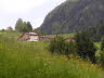 Near Reith